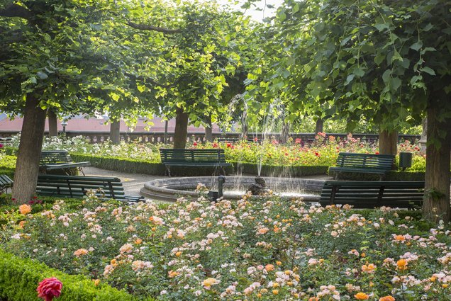 Rosengarten, Bamberg © Bayerische Schlösserverwaltung (Foto: Christa Brand) www.residenz-bamberg.de